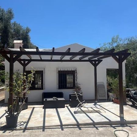 Farmhouse Surrounded By Centenary Olive Trees Olías Екстериор снимка