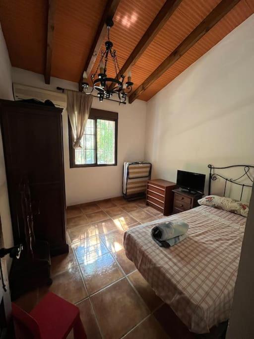 Farmhouse Surrounded By Centenary Olive Trees Olías Екстериор снимка