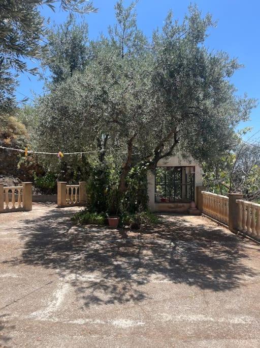 Farmhouse Surrounded By Centenary Olive Trees Olías Екстериор снимка